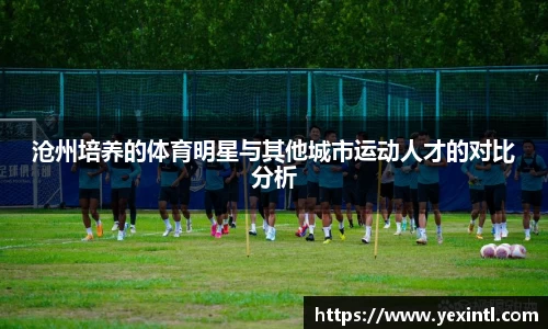 沧州培养的体育明星与其他城市运动人才的对比分析