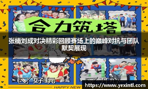 张楠刘成对决精彩回顾赛场上的巅峰对抗与团队默契展现