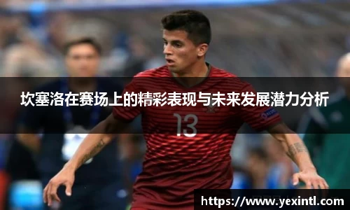 坎塞洛在赛场上的精彩表现与未来发展潜力分析
