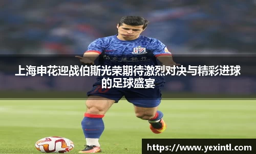 BB贝博ballbet
