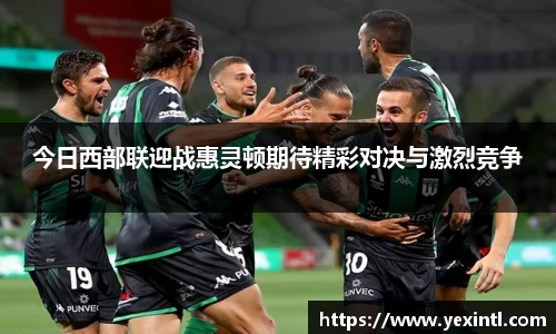 今日西部联迎战惠灵顿期待精彩对决与激烈竞争