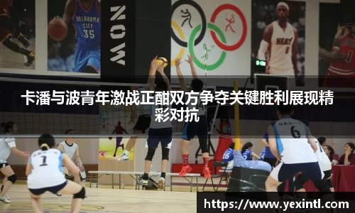 BB贝博ballbet