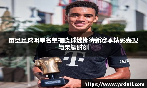 苗阜足球明星名单揭晓球迷期待新赛季精彩表现与荣耀时刻