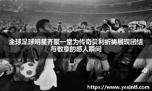 BB贝博登录入口