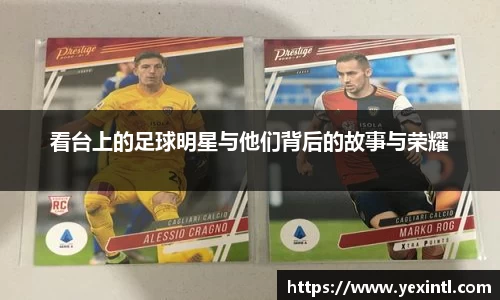 BB贝博登录入口