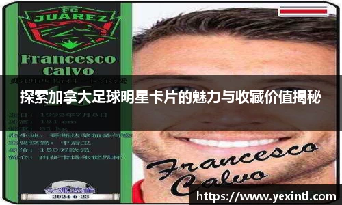 BB贝博登录入口