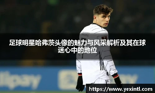 BB贝博登录入口