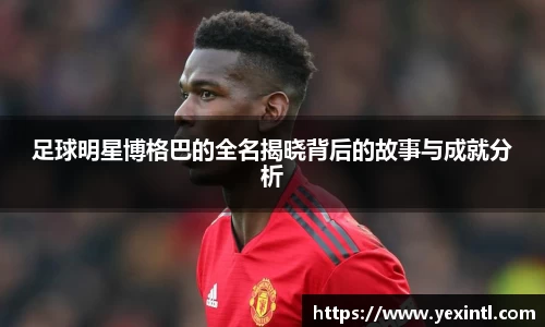 BB贝博登录入口